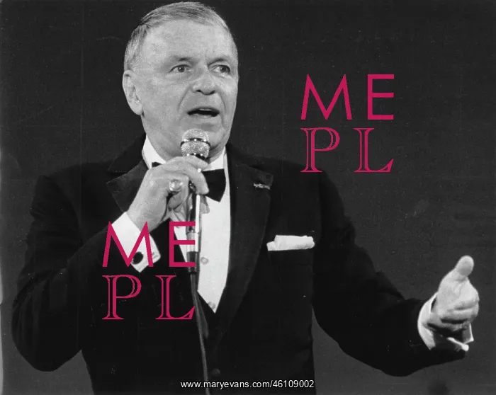 : The US-American singer Frank Sinatra : The US-American singer Frank Sinatra