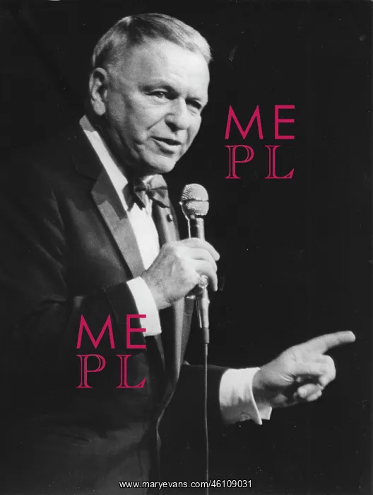 : The US-American singer Frank Sinatra : The US-American singer Frank Sinatra