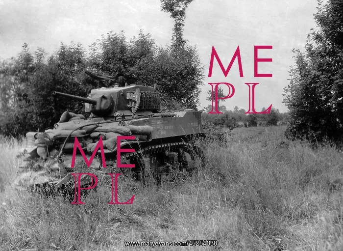 : U.S. light tank equipped with the Culin Hedgecutter : U.S. light tank equipped with the Culin Hedgecutter