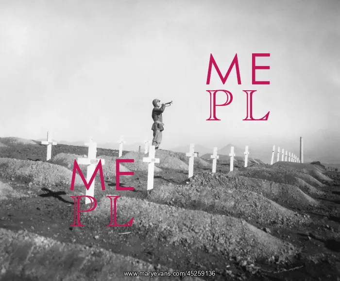 : U.S. Marine plays Taps over the graves of fallen : U.S. Marine plays Taps over the graves of fallen
