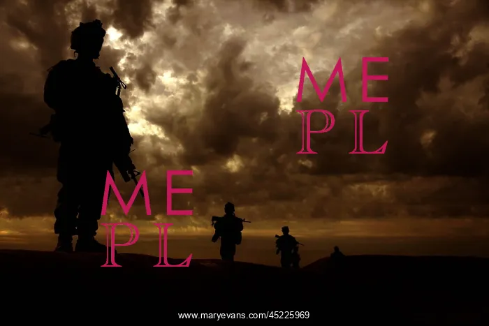 : U.S. Marines with conduct a census patrol ? : U.S. Marines with conduct a census patrol ?