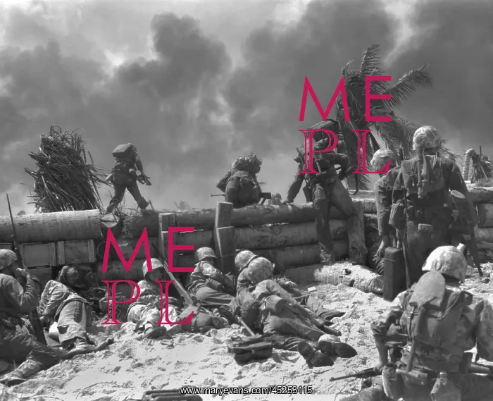 : U.S. Marines move out from the Tarawa beachhead : U.S. Marines move out from the Tarawa beachhead