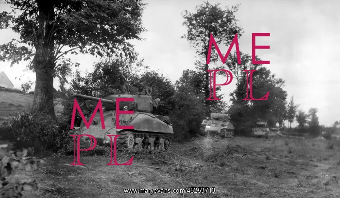 : Four U.S. Sherman tanks hiding in a Norman Hedgerow : Four U.S. Sherman tanks hiding in a Norman Hedgerow