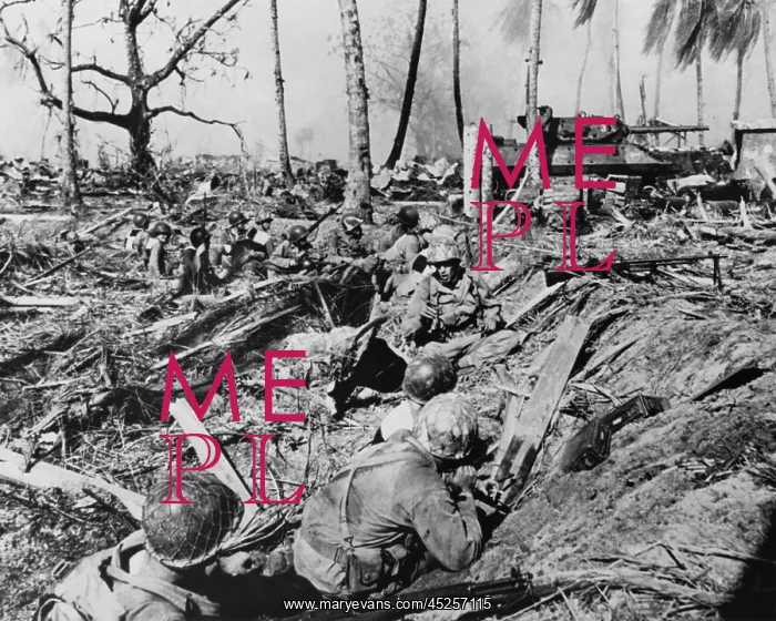 : U.S. soldier halts its advance on while a tank : U.S. soldier halts its advance on while a tank