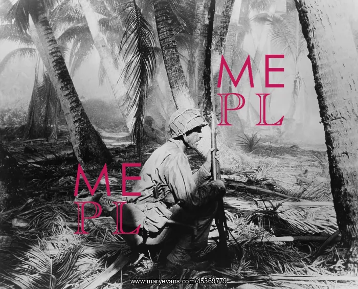 : U.S. Soldiers crouch on palm fronds as they push : U.S. Soldiers crouch on palm fronds as they push