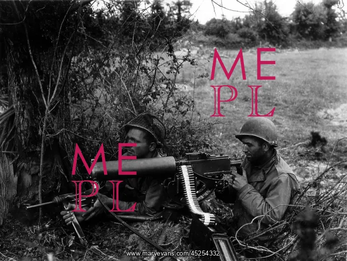 : Two U.S. soldiers positioned in a Normandy hedgerow : Two U.S. soldiers positioned in a Normandy hedgerow