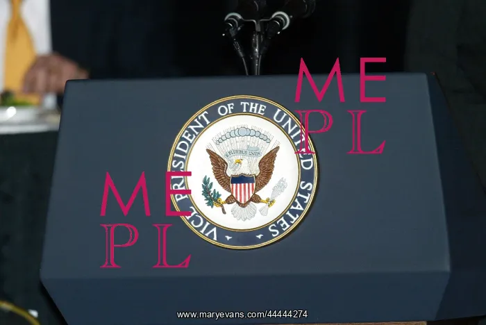 : U.S. Vice Presidents Shield : U.S. Vice Presidents Shield