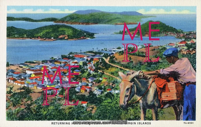  : U.S. Virgin Islands - St. Thomas - Returning Home