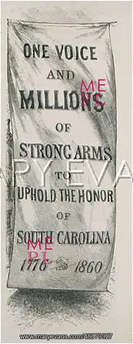 : USA / 1860 / S.CAROLINA FLAG : USA / 1860 / S.CAROLINA FLAG