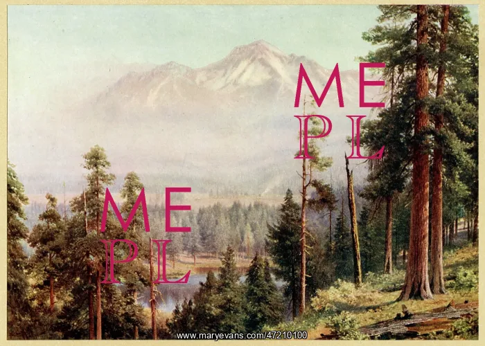  : USA / MT SHASTA, CLOUDY