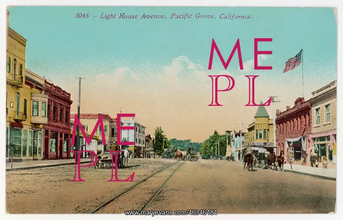 : USA / PACIFIC GROVE : USA / PACIFIC GROVE