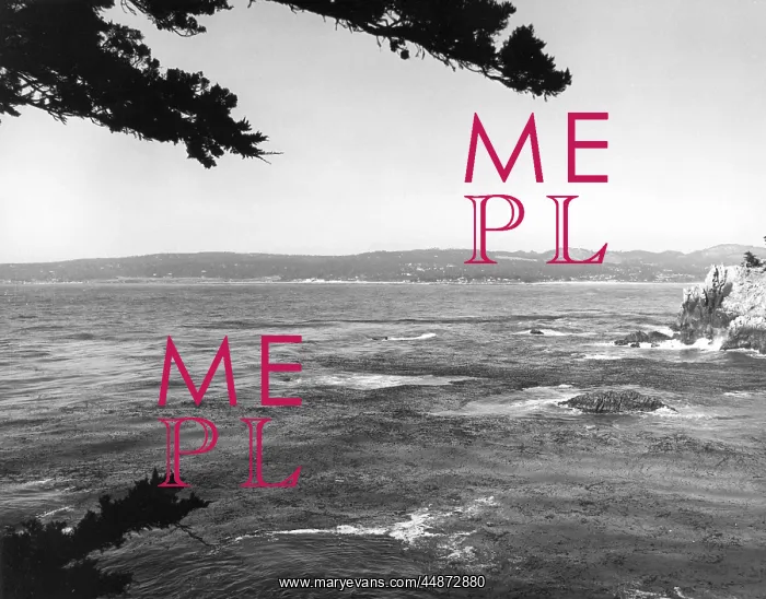 : USA / POINT LOBOS : USA / POINT LOBOS