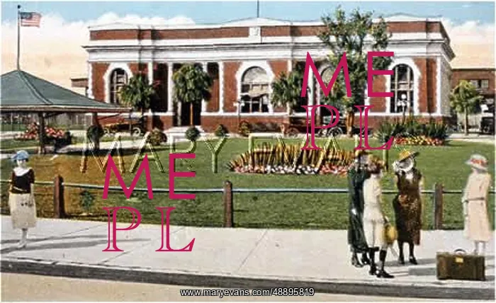  : USA / TAMPA FLORIDA 20C