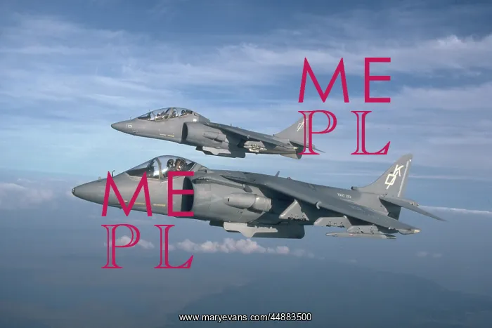  : Two Usaf Av-8 Sea Harriers