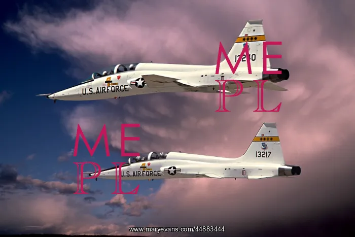  : Two Usaf T-38 Talons Flying