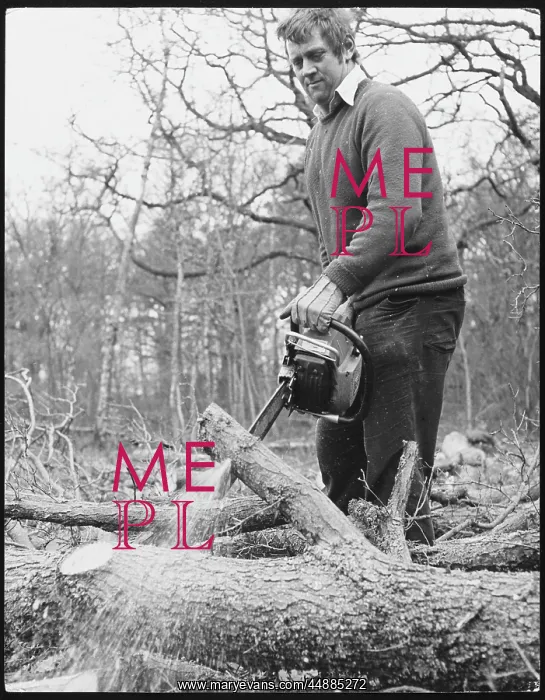  : USING A CHAINSAW