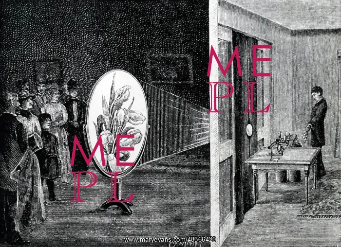 : Using a megascope to project opaque objects (flowers : Using a megascope to project opaque objects (flowers
