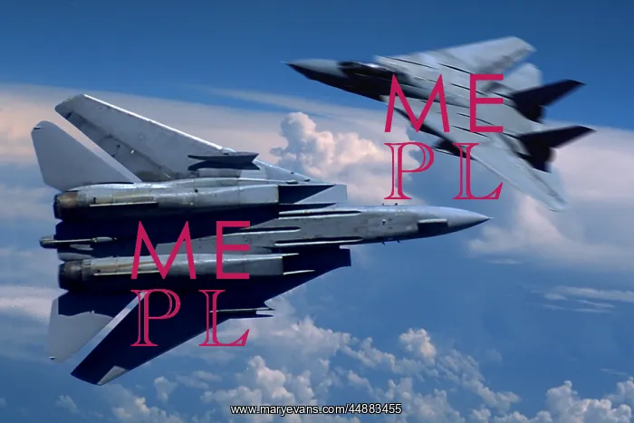  : Two Usn F-14 Tomcats Flying Over