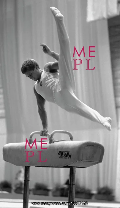 : USSR Gymnastics Championship : USSR Gymnastics Championship