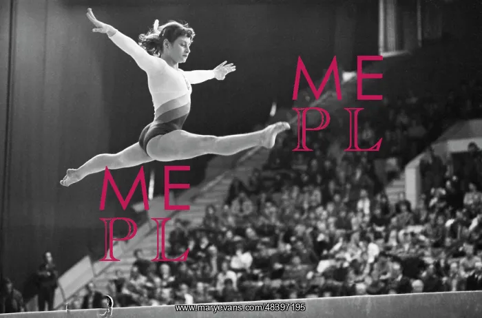 : USSR Gymnastics Championship : USSR Gymnastics Championship