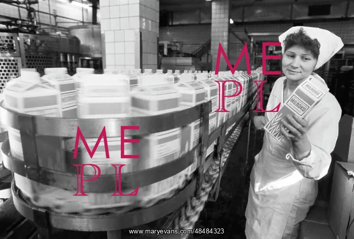 : Dairy. USSR. March 18, 1987. Leading worker Raya Nikitenko at work. Valentin Sobolev / TASS : Dairy. USSR. March 18, 1987. Leading worker Raya Nikitenko at work. Valentin Sobolev / TASS