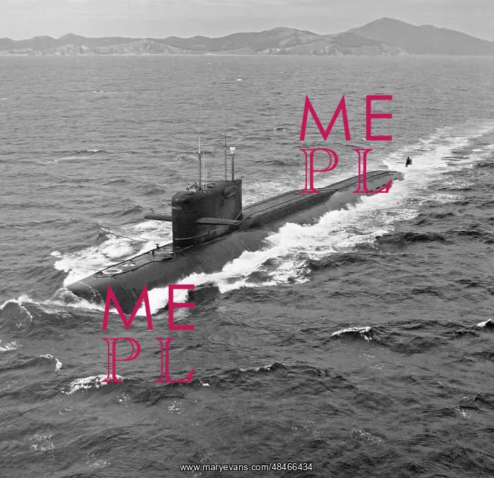 : USSR Pacific Fleet, 1987 : USSR Pacific Fleet, 1987