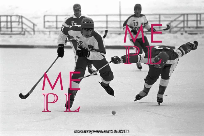 : USSR's national bandy team, 1987 : USSR's national bandy team, 1987