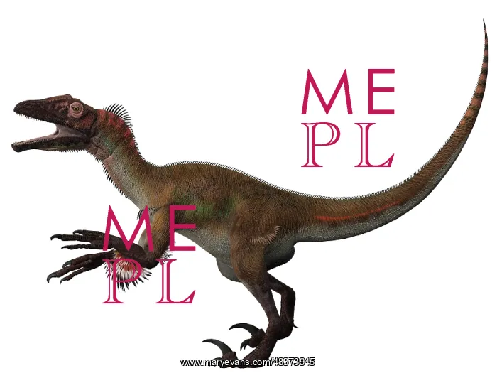 : Utahraptor, a carnivorous dinosaur from the Cretaceous ? : Utahraptor, a carnivorous dinosaur from the Cretaceous ?