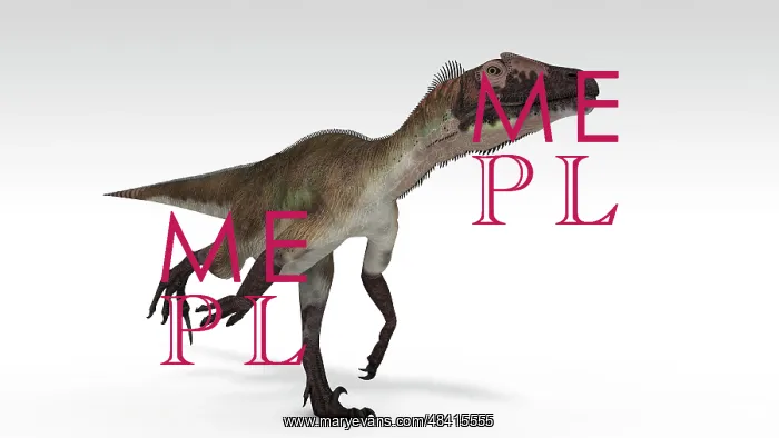 : Utahraptor dinosaur, white background : Utahraptor dinosaur, white background