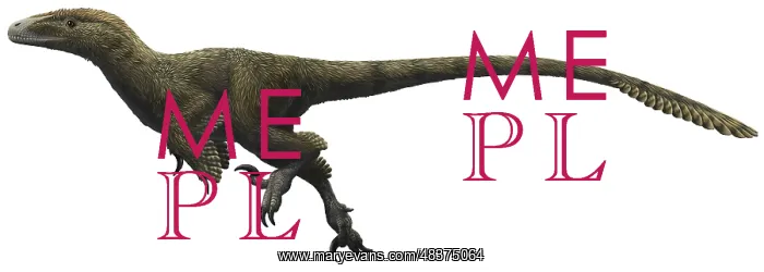 : Utahraptor ostrommaysorum : Utahraptor ostrommaysorum