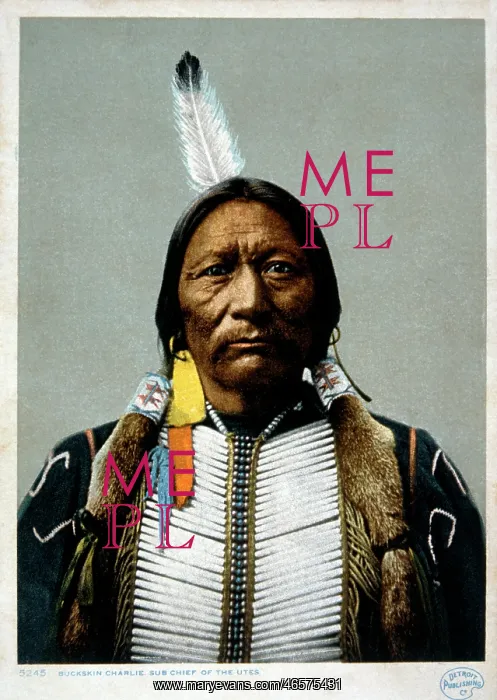  : Ute Sub-Chief