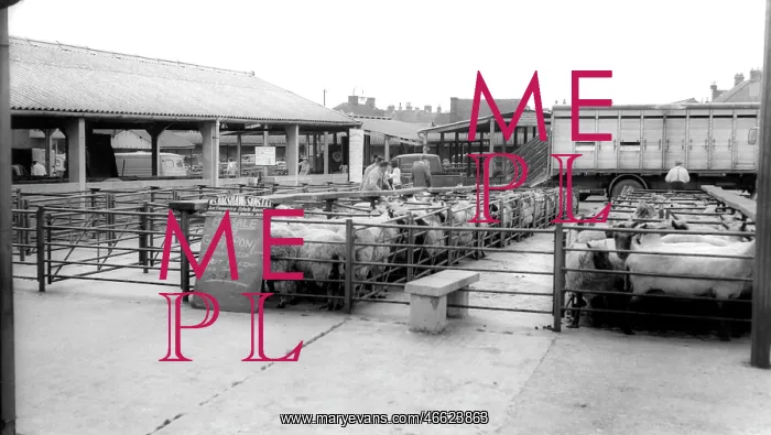  : Uttoxeter, Cattle Market c1965