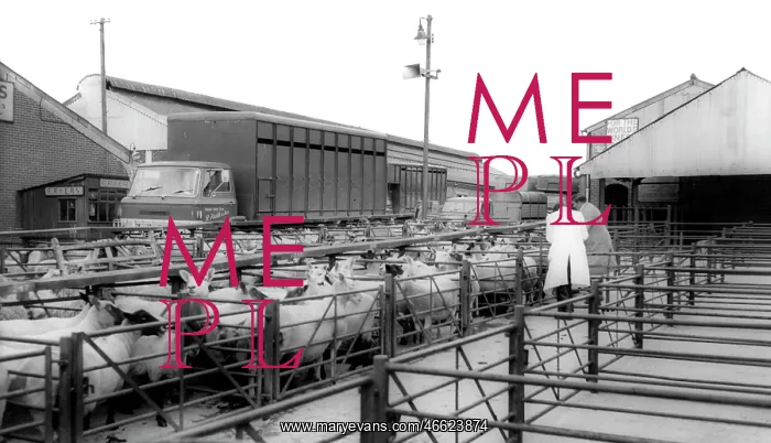  : Uttoxeter, Cattle Market c1965