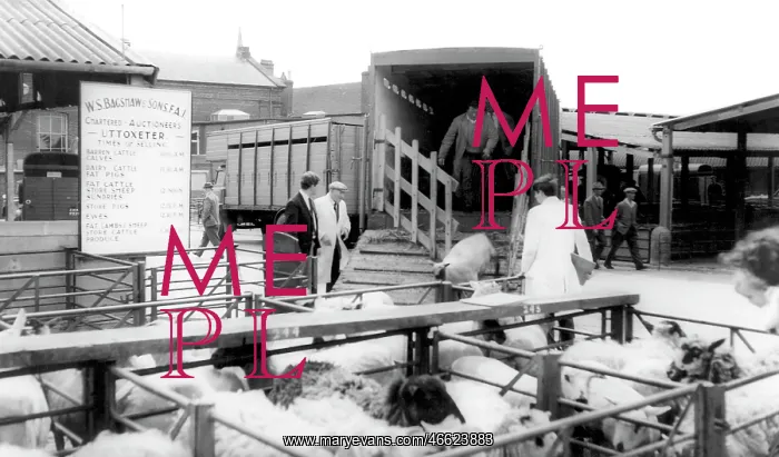  : Uttoxeter, Cattle Market c1965