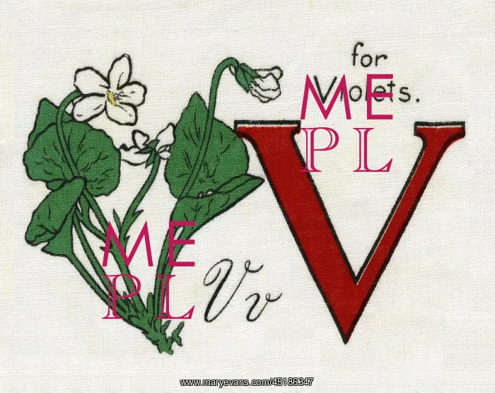  : V for Violets