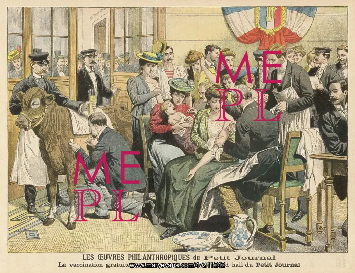 : Vaccinations against smallpox, 1905 : Vaccinations against smallpox, 1905