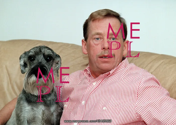 : Vaclav Havel - Dyula the dog : Vaclav Havel - Dyula the dog