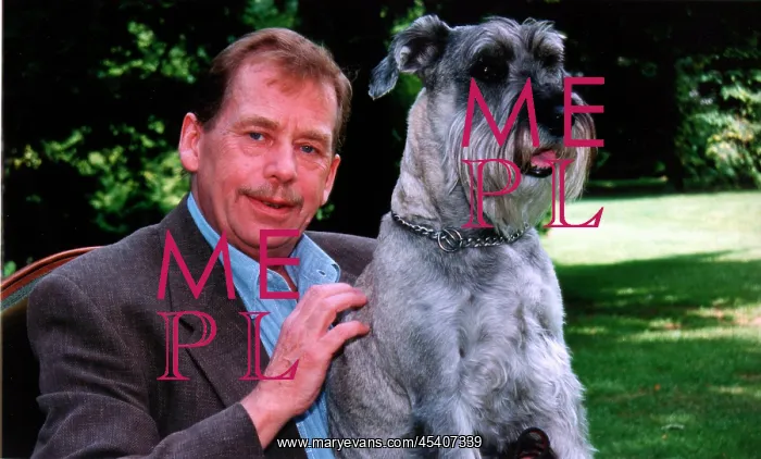  : Vaclav Havel - Dyula the dog