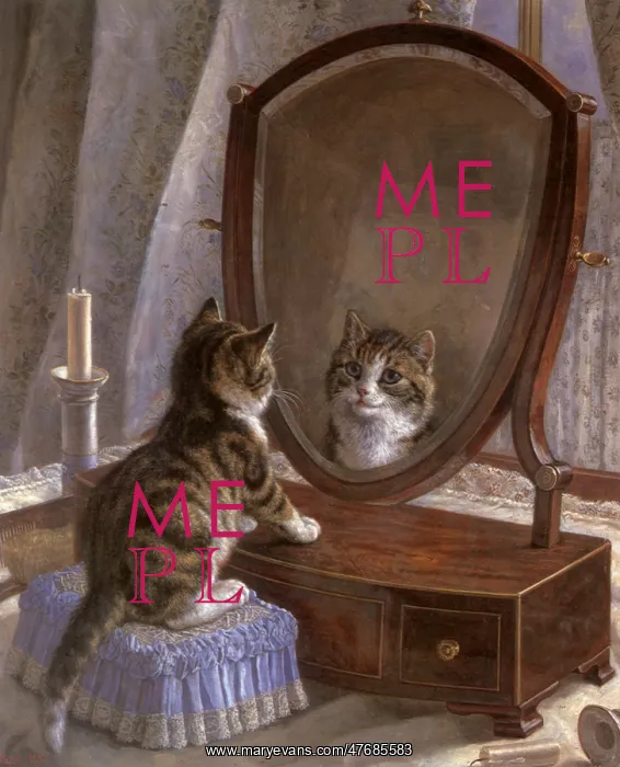  : Vain Kitty