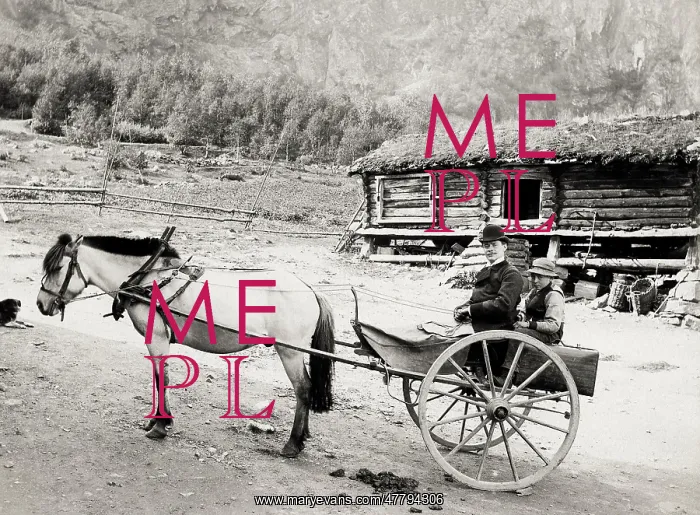 : Valders, Norway, pony and trap : Valders, Norway, pony and trap