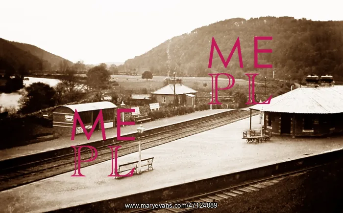  : Vale of Avoca Railway Station, Ireland