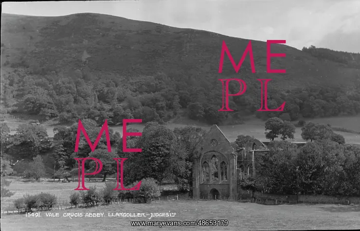 : Vale Crucis Abbey : Vale Crucis Abbey