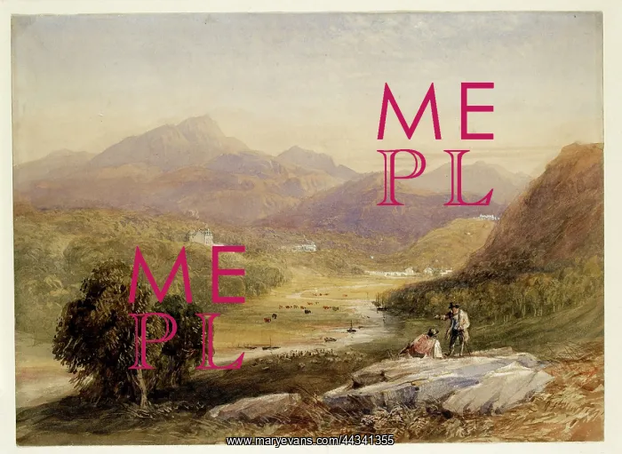  : The Vale of Ffestiniog, Merionelthshire