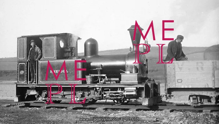  : Vale of Rheidol narrow gauge railway at Devils Bridge