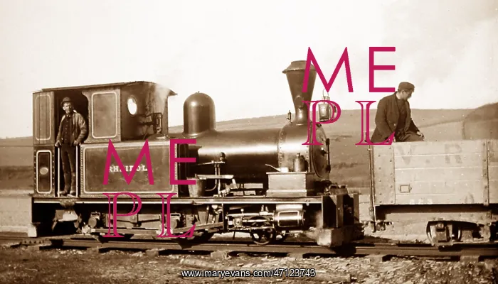  : Vale of Rheidol Railway, Devils Bridge, Aberystwyth, Wales