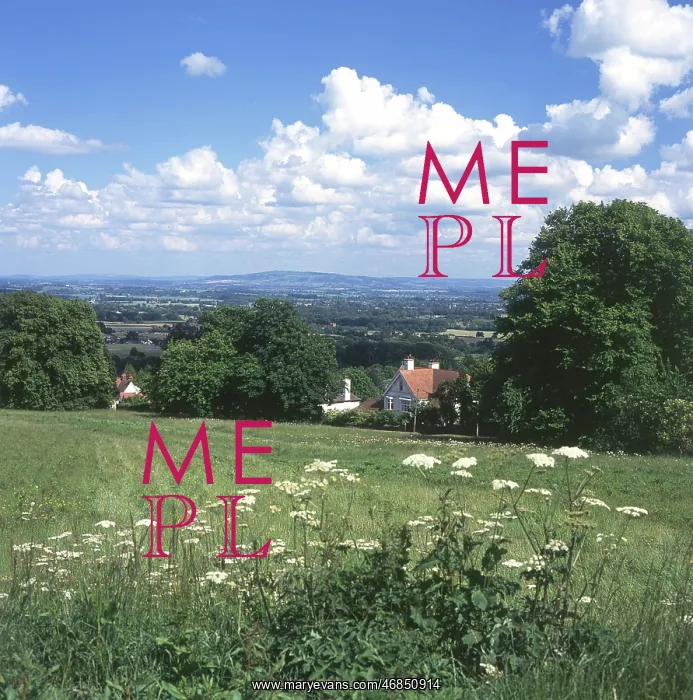 : THE VALE OF SEVERN : THE VALE OF SEVERN