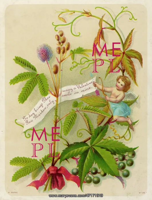 : Valentine Card : Valentine Card