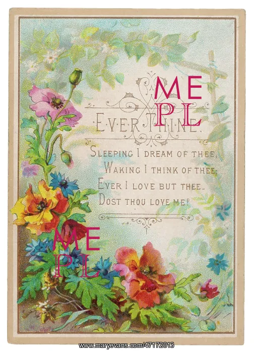  : Valentine Card