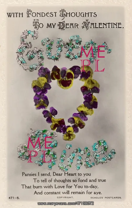  : Valentine Card