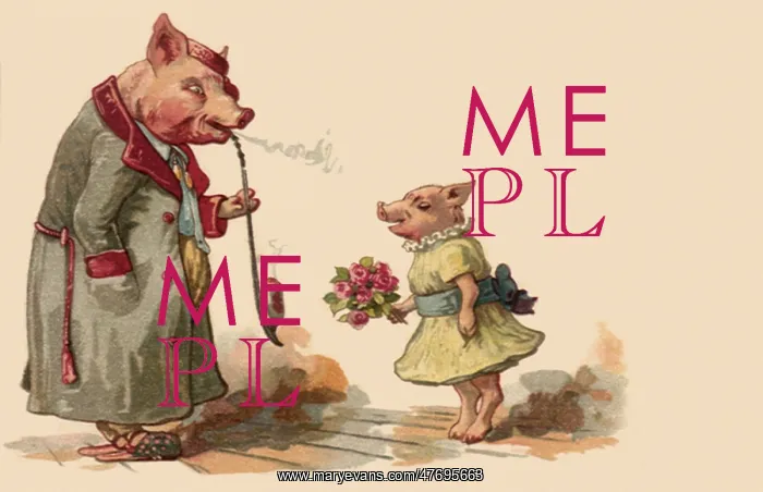  : Valentine Pigs